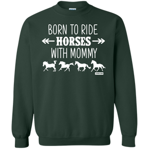 Born to Ride Horse With Mommy Horse